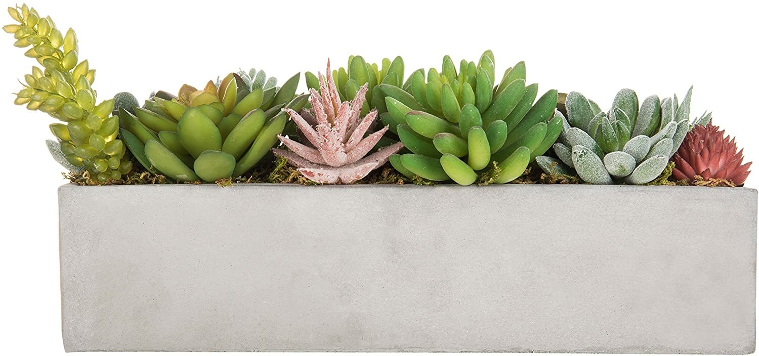12-In Rectangular Gray Cement Pot w/ Miniature Faux Succulent Plant Arrangement
