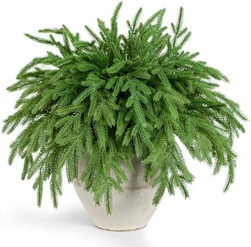 50 Pcs Artificial Norfolk Pine Stems, Real Touch Faux Greenery Picks for DIY Wre