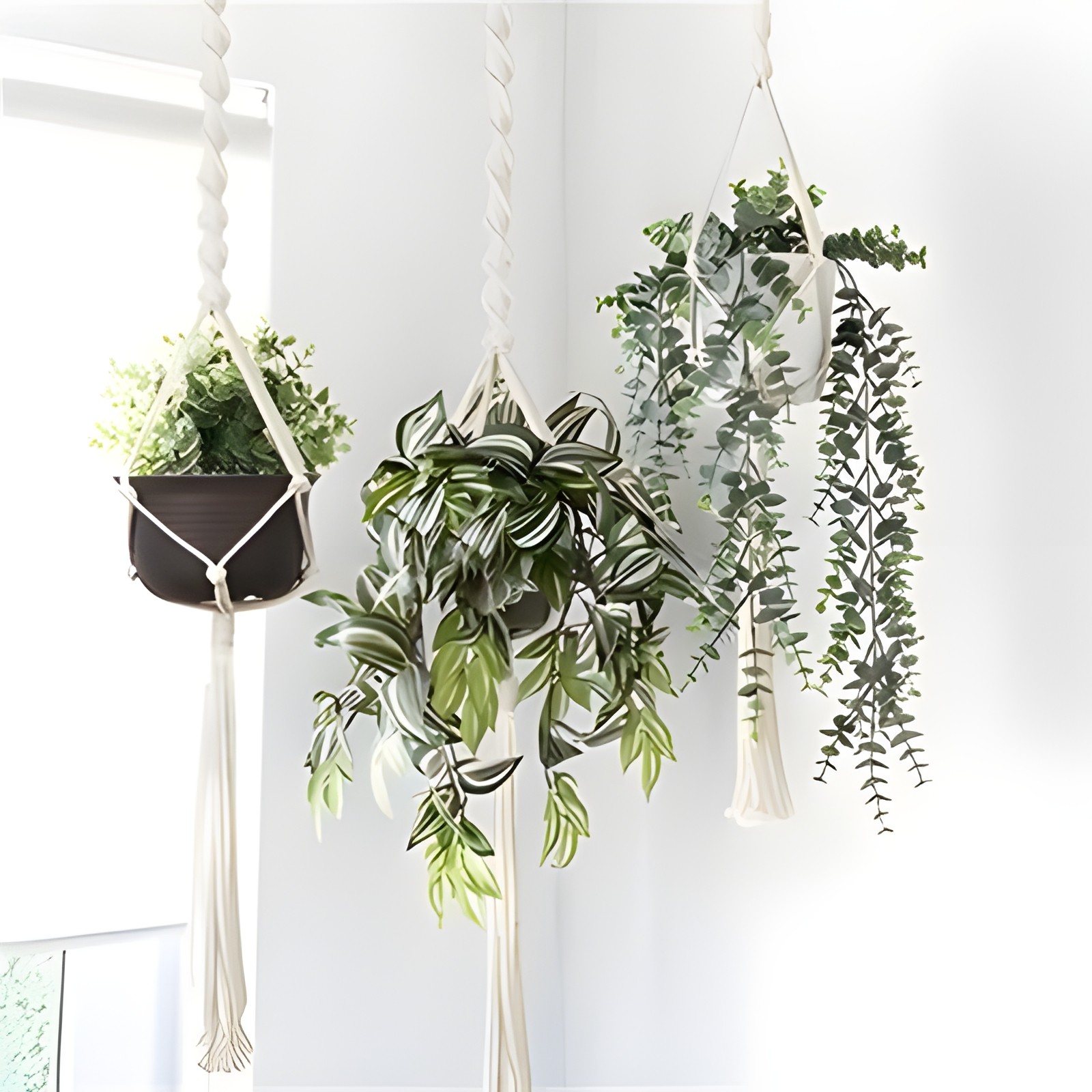 Macrame Plant Hanger 3 Pack with Hooks – Cotton Rope Hanging Planters