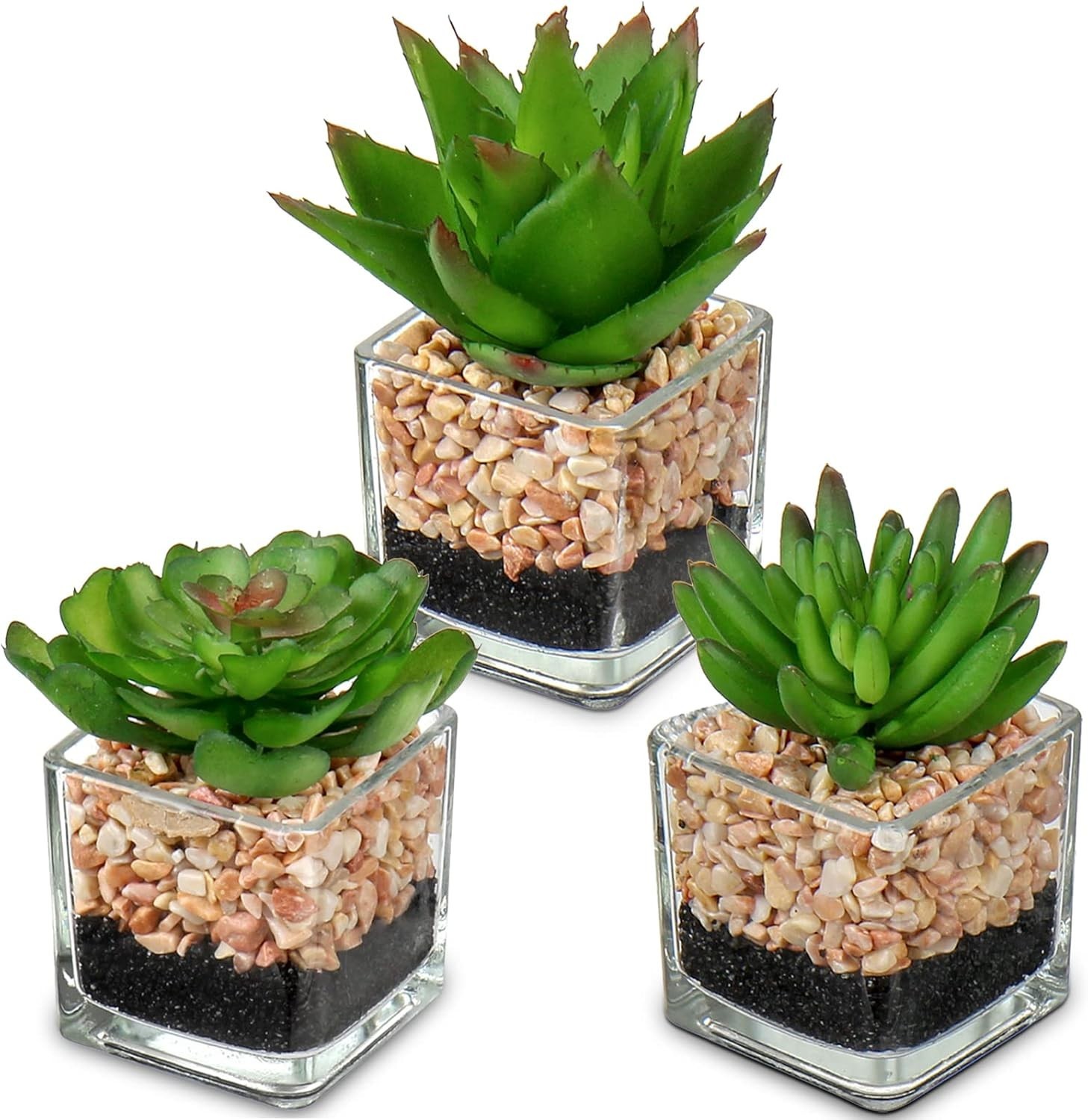 Set Of 3 Succulents Plants Artificial In Glass Pots Small Fake Succulents Plants