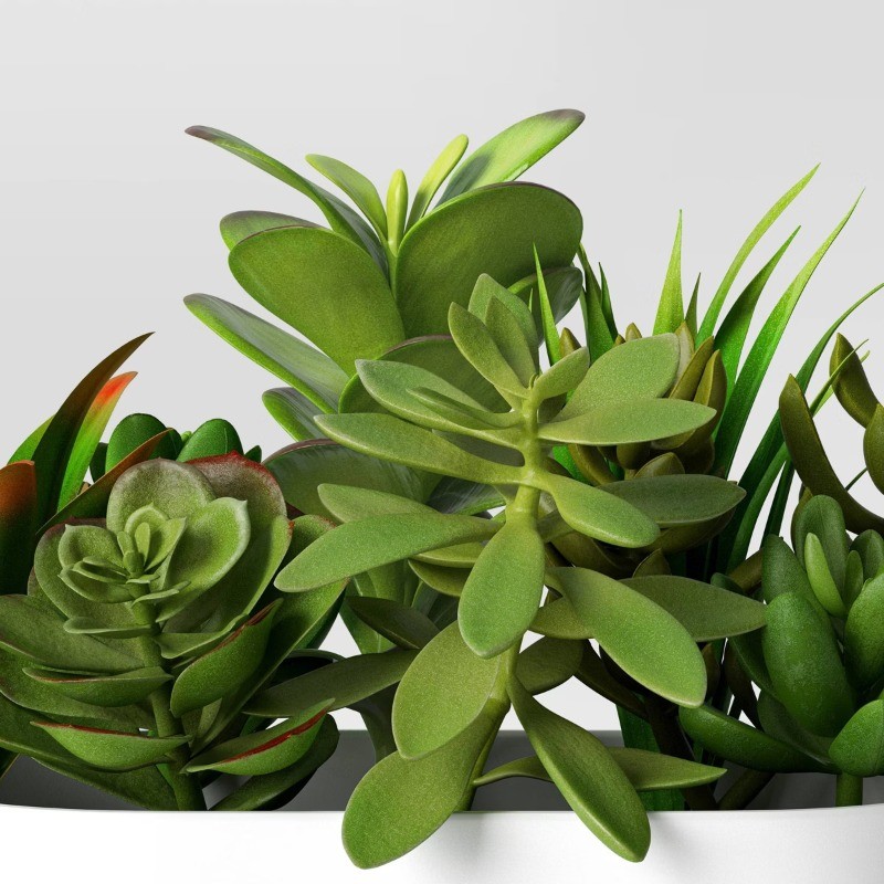 Succulent Arrangement in Long White Pot