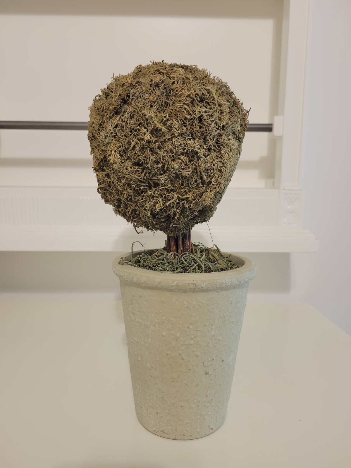 Artificial Moss Ball Topiary in Pot, 12 in, Green/Beige Dried Greenery