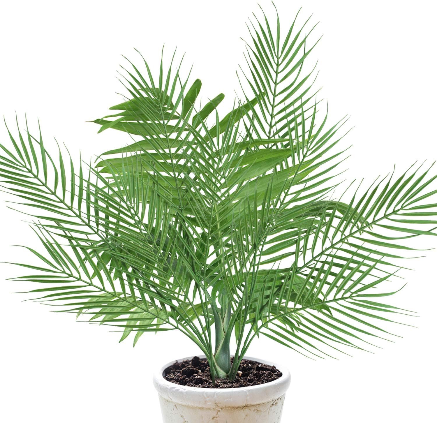 18 Branches 27 Inch Artificial [Palm] [Leave]S 6 PCS Large Faux / Fake Greenery
