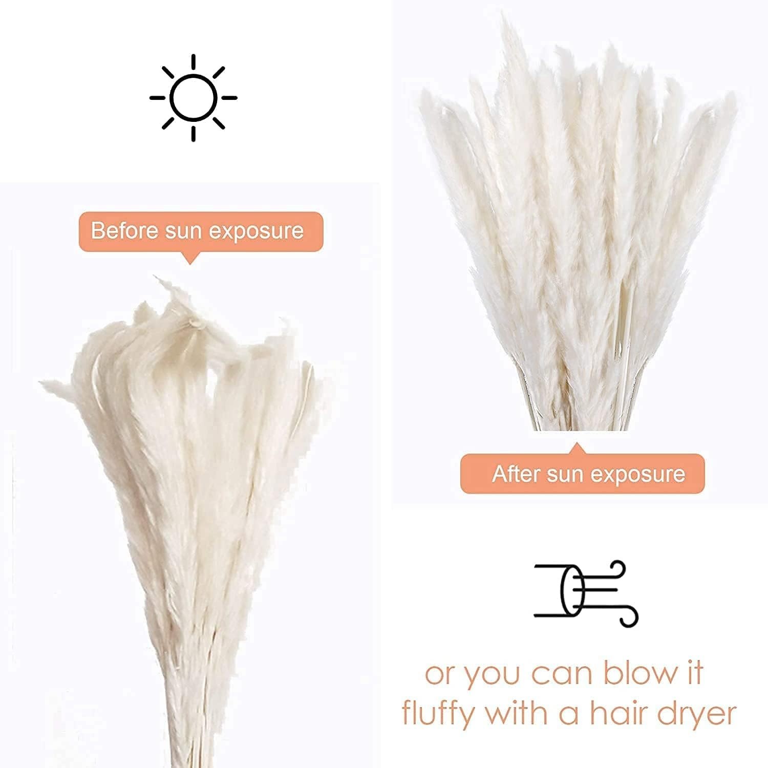 Pampas Grass 60pcs White Dried Stems 17in Natural Decor Vase Arrangement Home