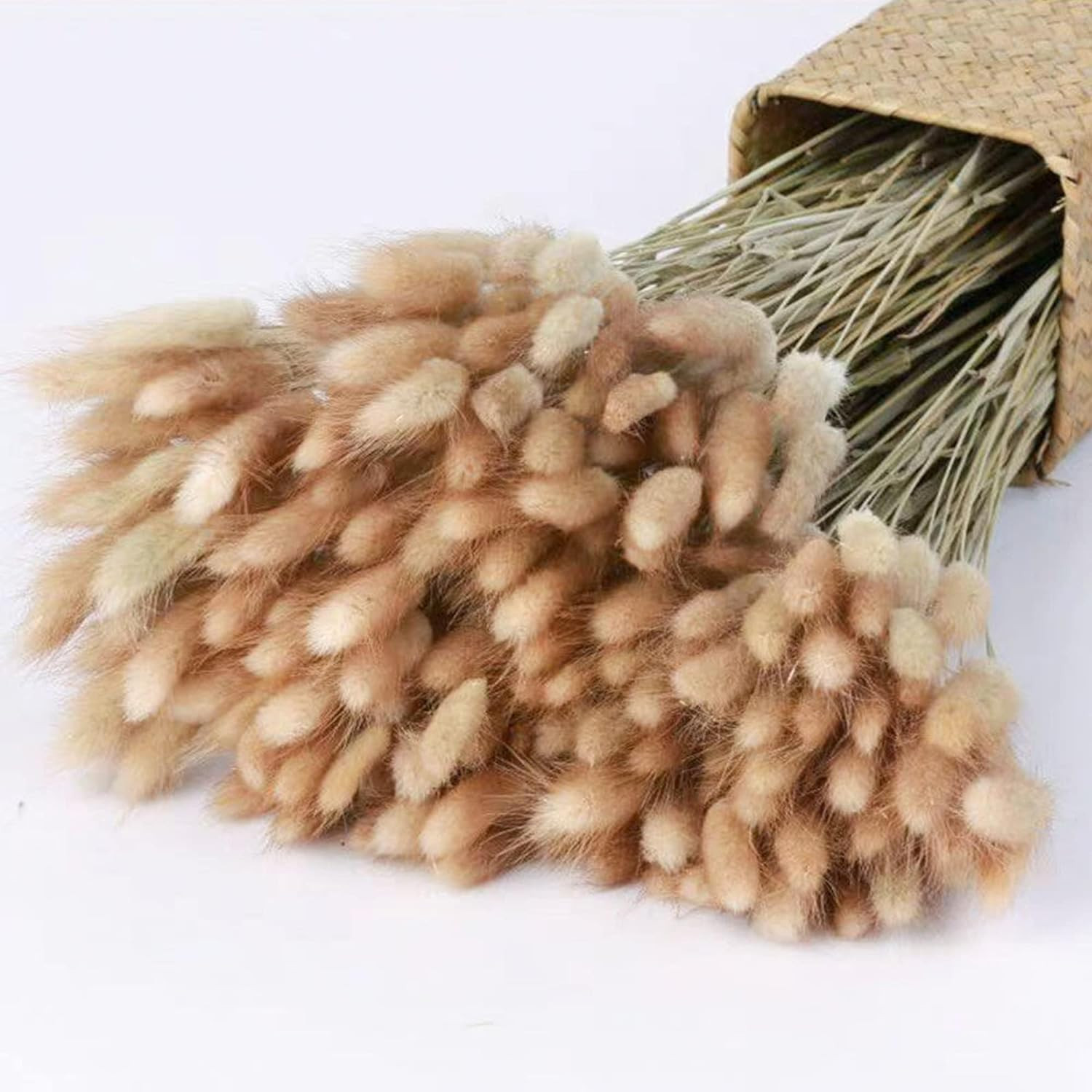 120Pcs 17″ Bunny Tails Dried Flowers Brown Pampas Grass Natural Rabbit Tail Gras