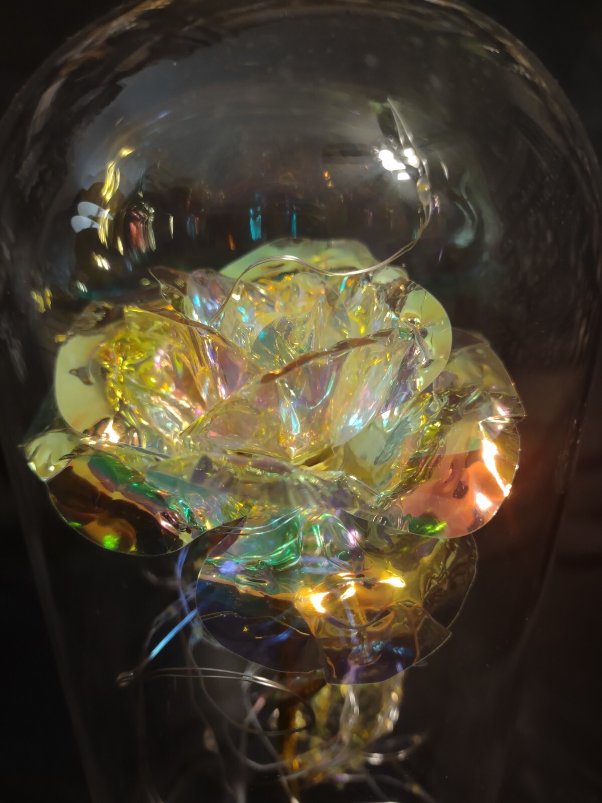 Enchanted Forever Rose Flower in Glass Dome Cloche Dome LED Lighted