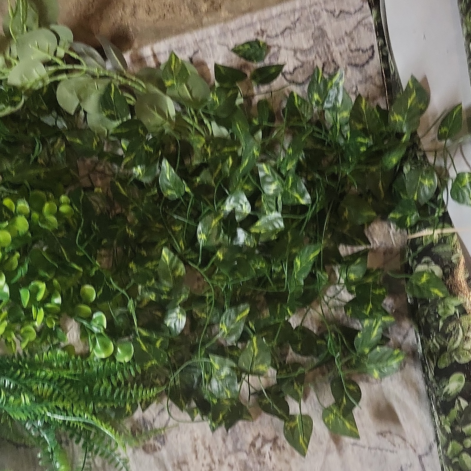 Classroom Zoo/Safari Decor. Lights 6ft approx., greenery & plant