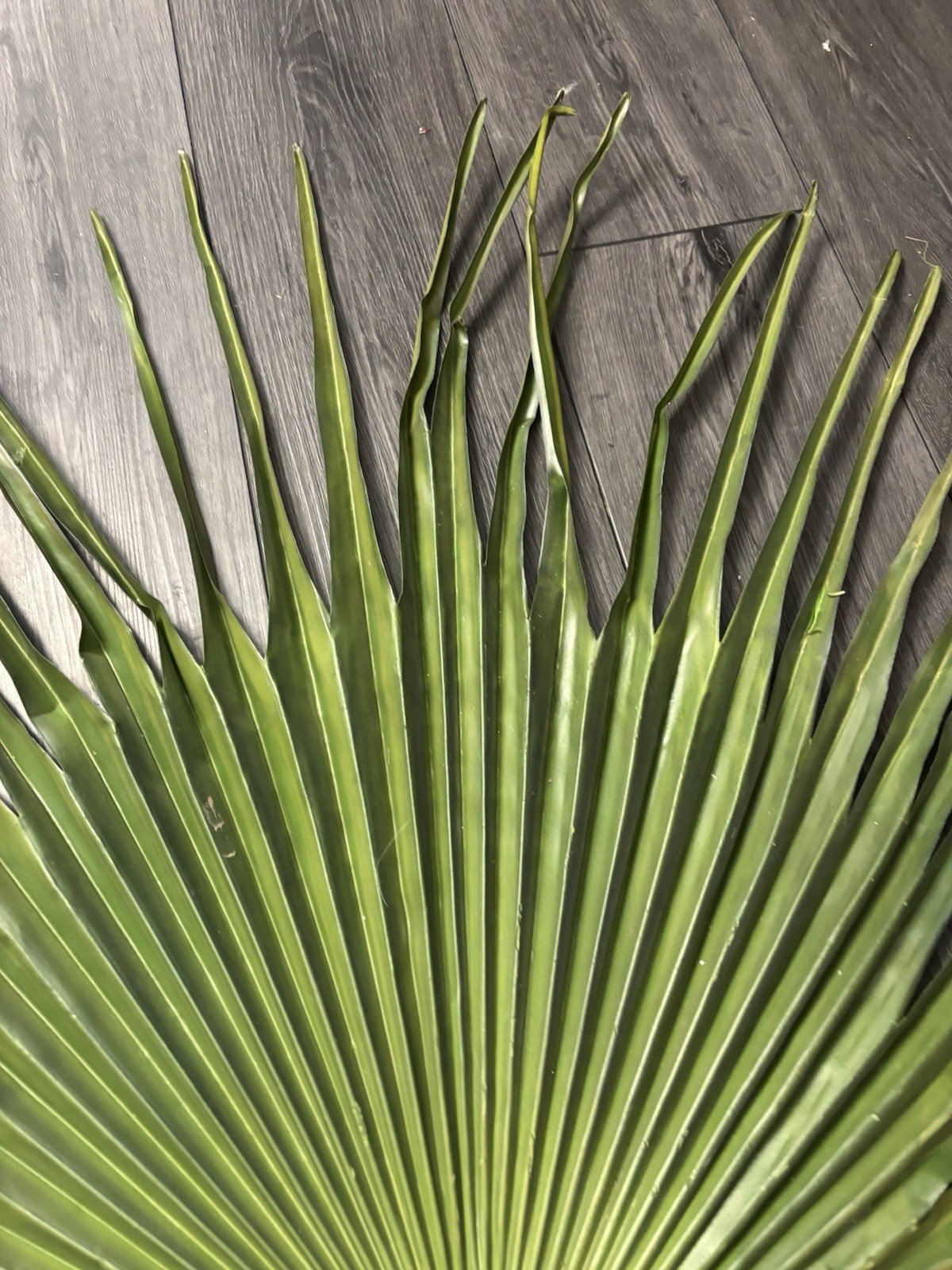 Large Fan Palm Leaf Stem 58” Tropical Boho Coastal Wedding Home Decor Prop