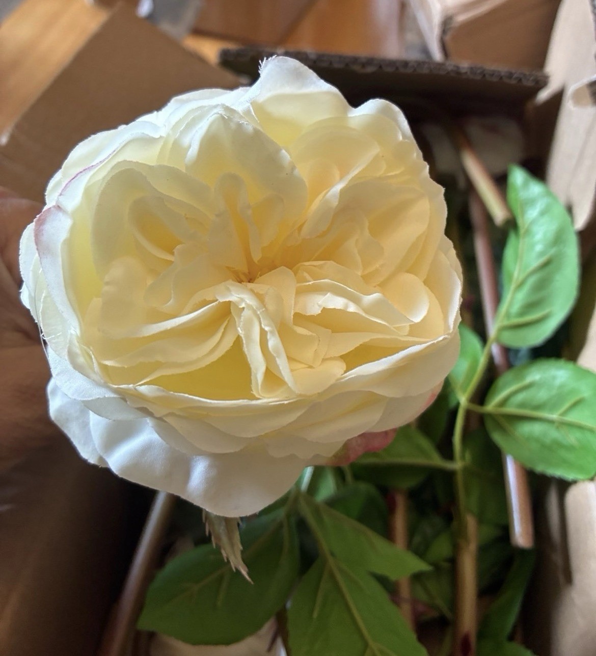 Real Touch Artificial Roses (Set of 6) – 23.6″ Long Stem White Garden Rose