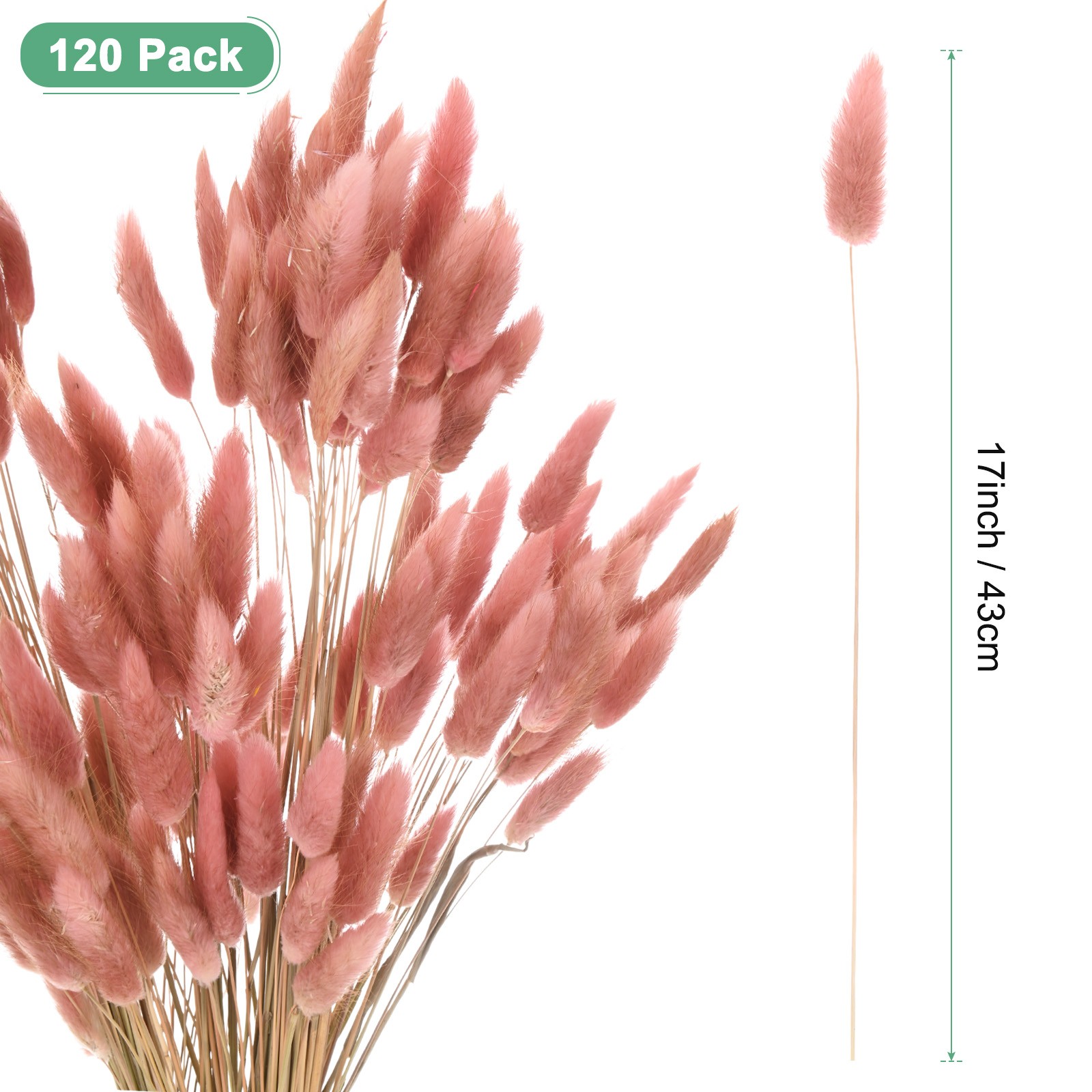 120-Pack Bunny Tails Grass 17 Inch for Home Decor/Wedding [Brown]