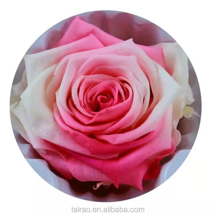 Wholesale Rose Scented Candle Sets for Festive Home Decor