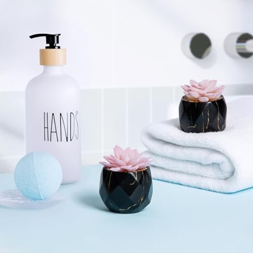 Artificial Succulent Plants in 2 Ceramic Pots, Cute Fake Plants for Black