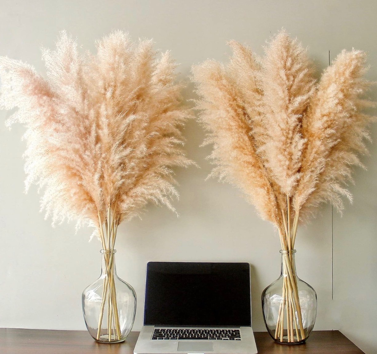 PAMPAS GRASS BEAUTIFUL BEIGE VERY FLUFFY 40 INCHES TALL 10 STEMS HOME DECOR