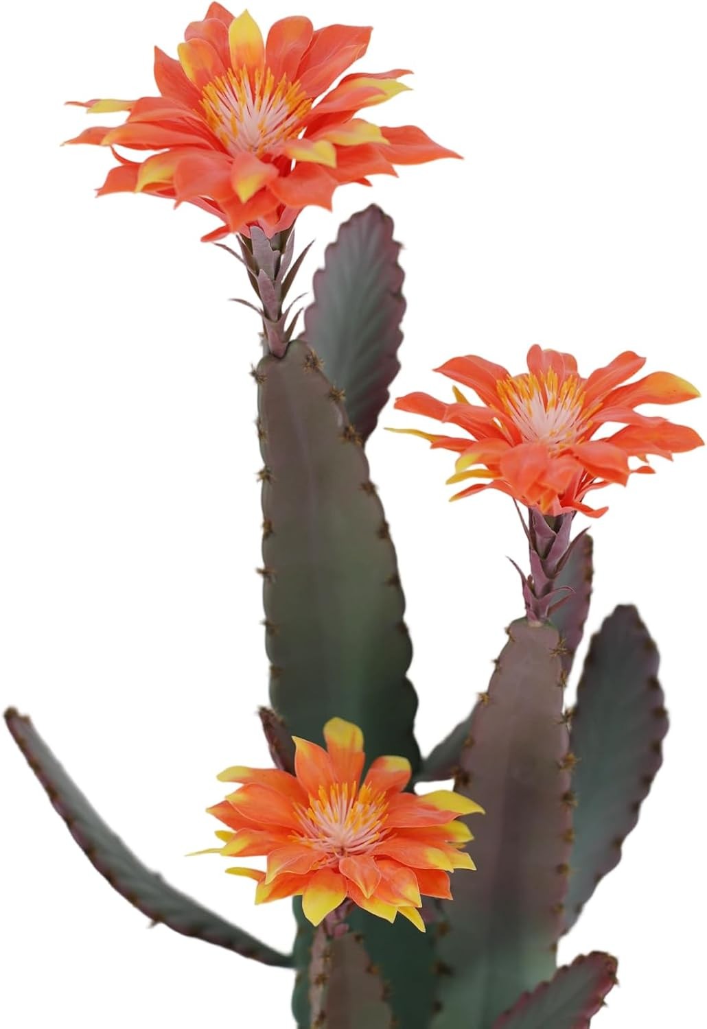 Artificial Cactus in Pot with Stone and Red Flower, Decorative Desert Cacti