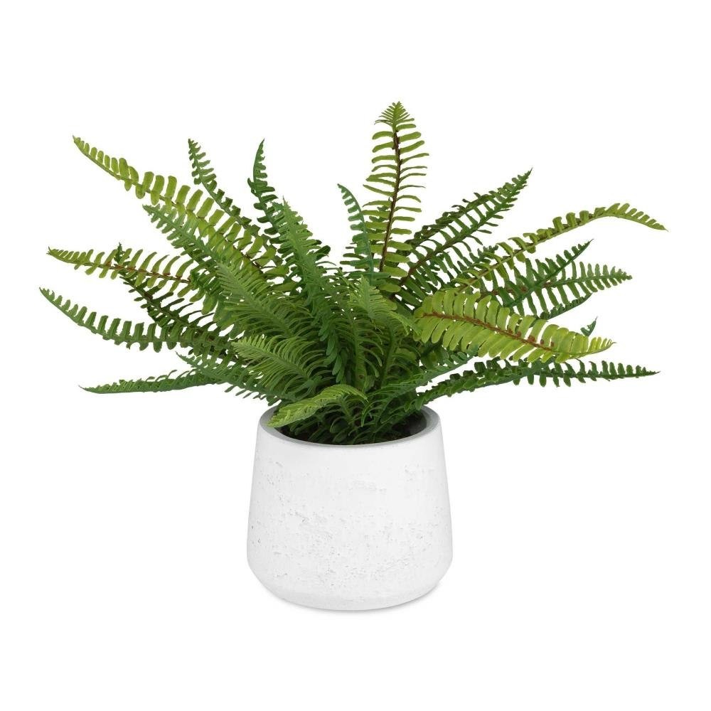 Ceramic Pot-14 Inches Tall and 14 Inches Wide – 208-BEL-5273669 – Bailey Street