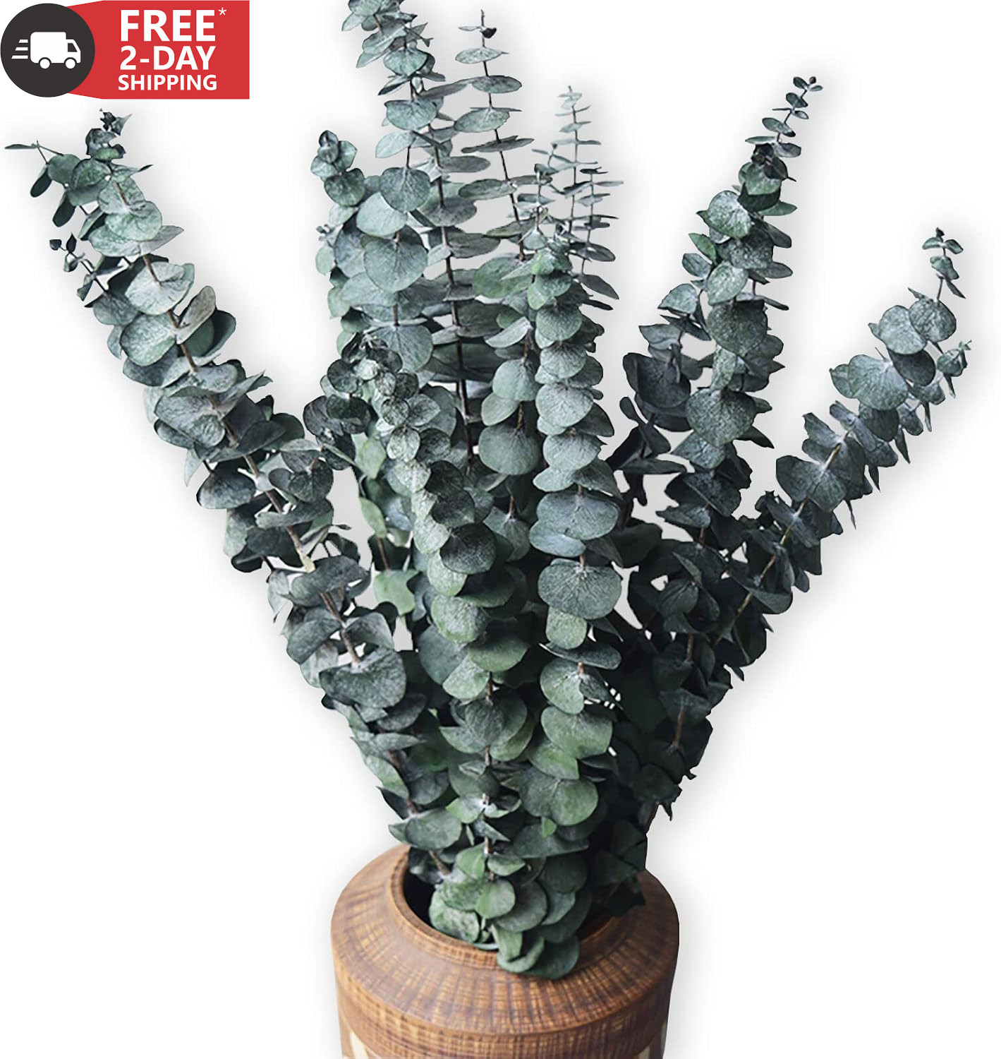 Eucalyptus for Shower 10 Pcs Hanging Dried Eucalyptu Stems 17″ Real Eucalyptus B