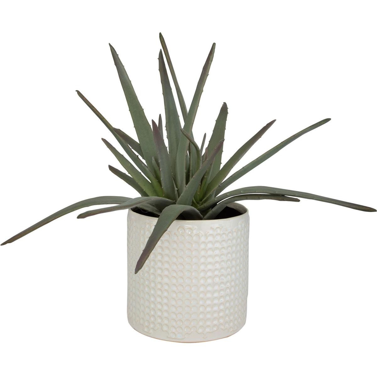 Uttermost 60210 Taos Green with Ivory and Beige Glaze Aloe Centerpiece