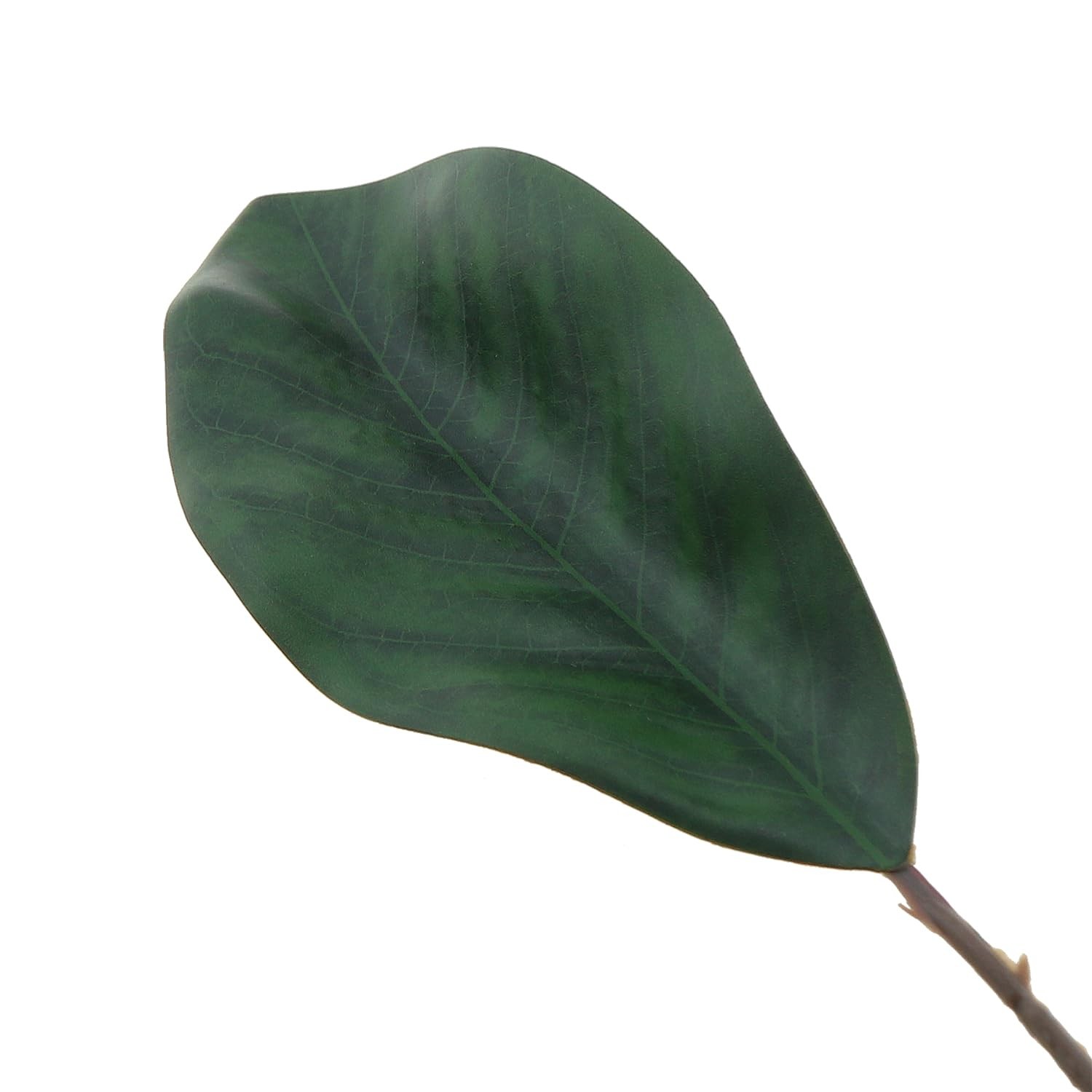 12PCS 19.5x6cm Artificial Small Size Simulation Magnolia Leaf Green Artificia…