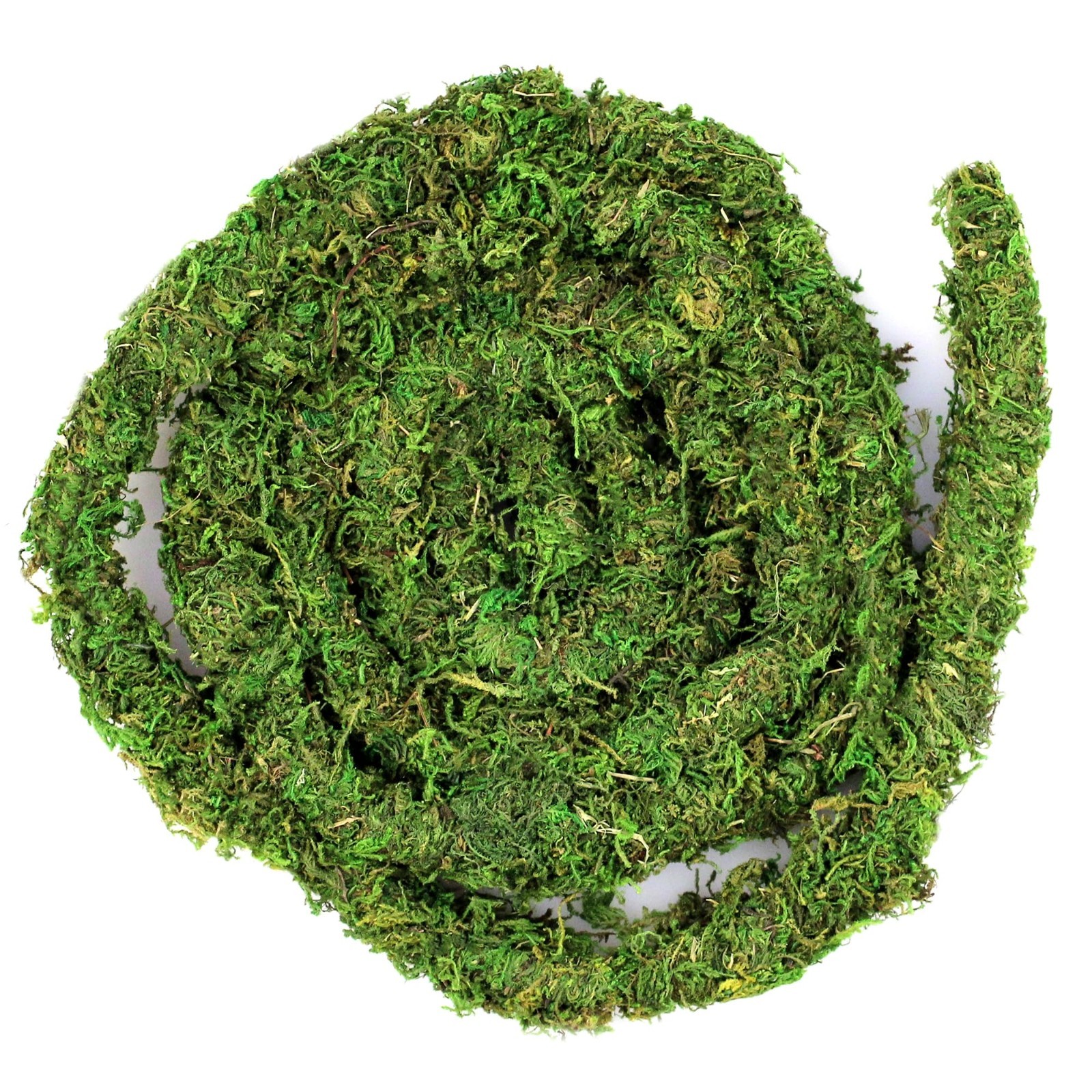 Real Moss Vine 12FT – Natural Green Decorative Plant, Perfect for Aquariums & Cr