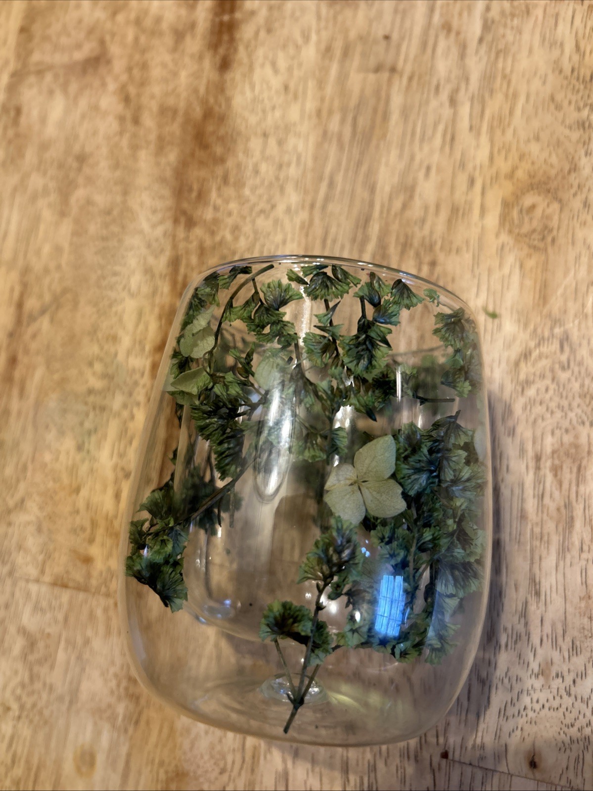 Dried Flower Glass Mug – Double Wall Clear Coffee Tea Cup – Botanical Floral