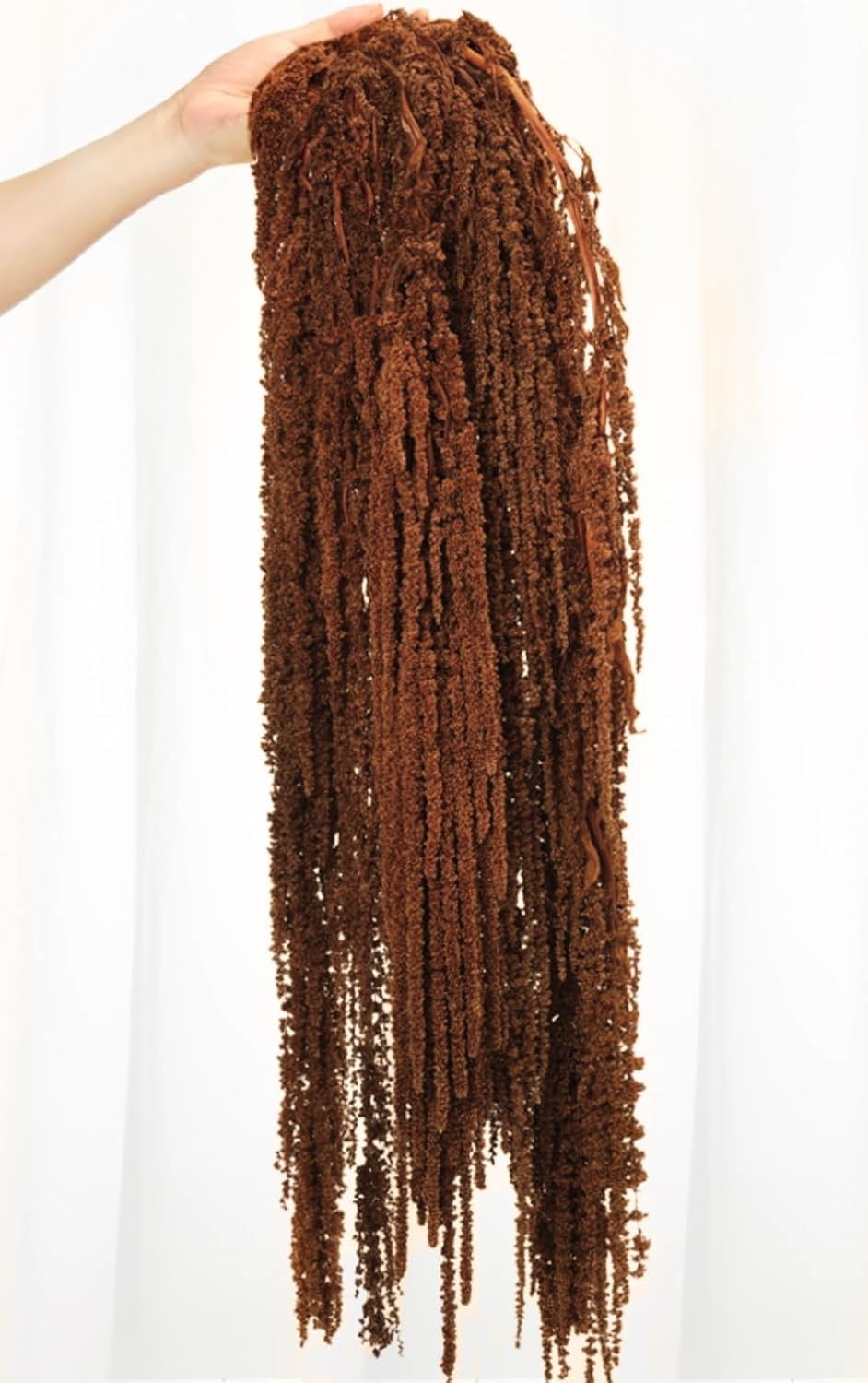 5 PCS Dried Amaranthus Hanging Flowers Natural Preserved Brown 24 Inch