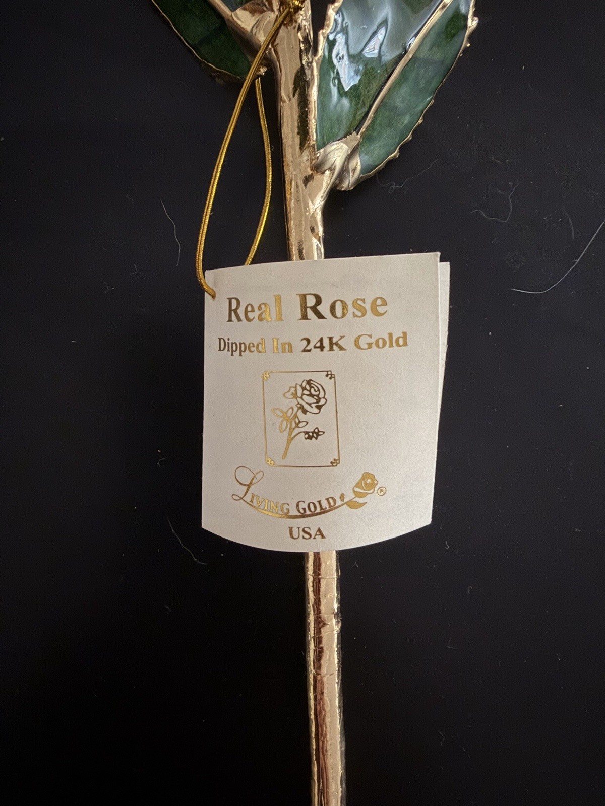 Living Gold Real Rose Dipped in 24K Gold Flower Stem, Gold/Green/White.