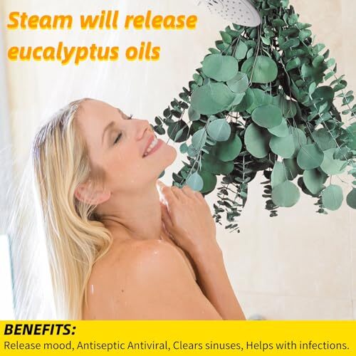Pcs Large Dried Eucalyptus & Silver Dollar Leaves Bundle – 100% Natural Real 12