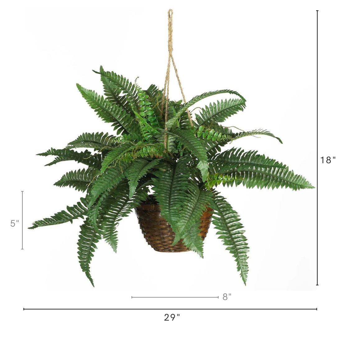 18″ Boston Fern Hanging Basket