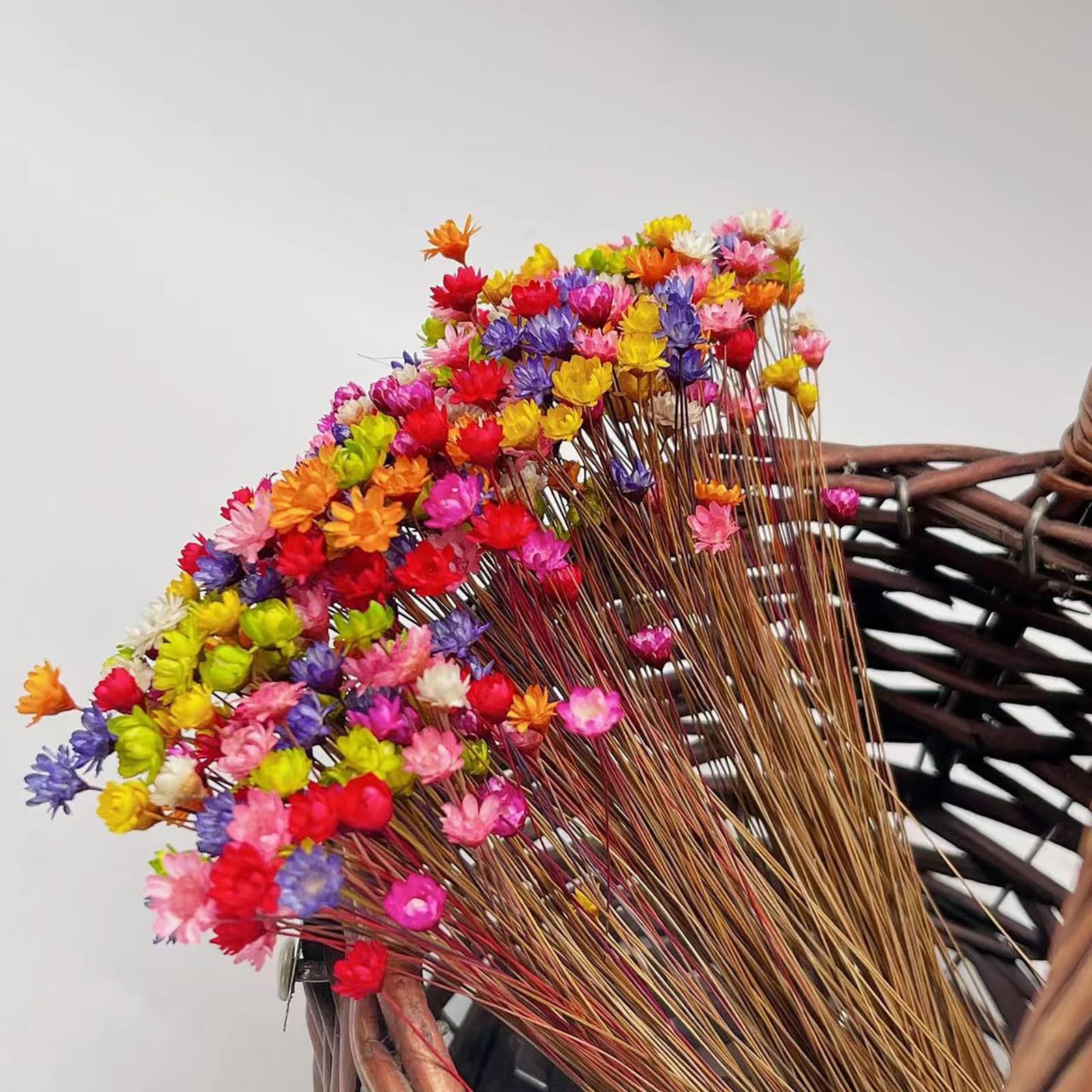MLSG 100 Stems Natural Dry Flowers Brazilian Small Star Daisy Decorative Dried