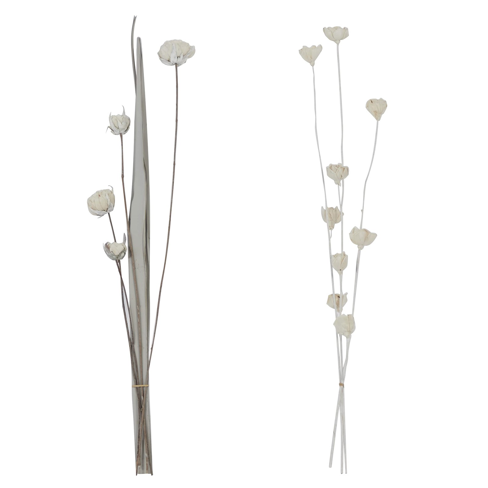 Dried Plant Palm Natural Foliage, Set of 2 5″ W, 38″ H, White