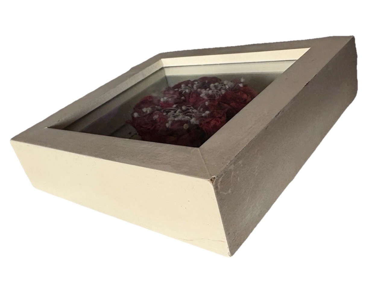 4.75” Preserved Red Roses w/ Newspaper Backing – Flower White Framed Shadow Box