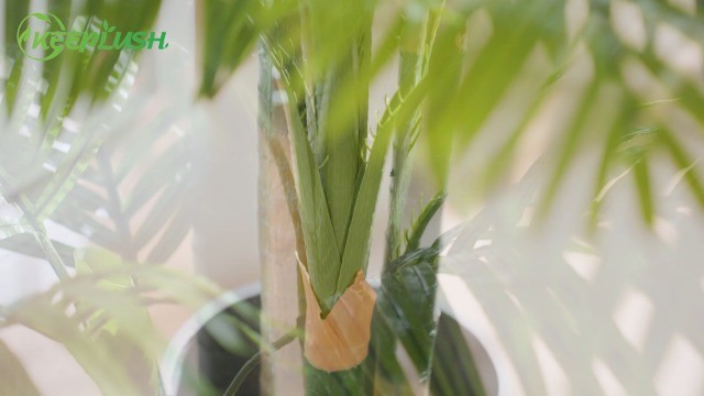 7ft Tall Triple Golden Cane Palm Tree – UV Resistant Fake Plant for Indoor/Outdo