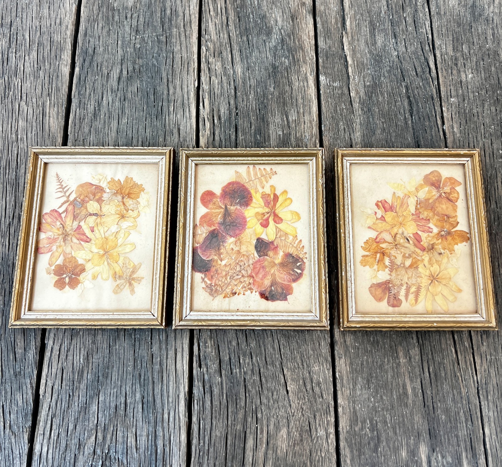 Vintage Dried Flower Artwork Set – Gold Wood Frame Wall Art (5 3/4″)
