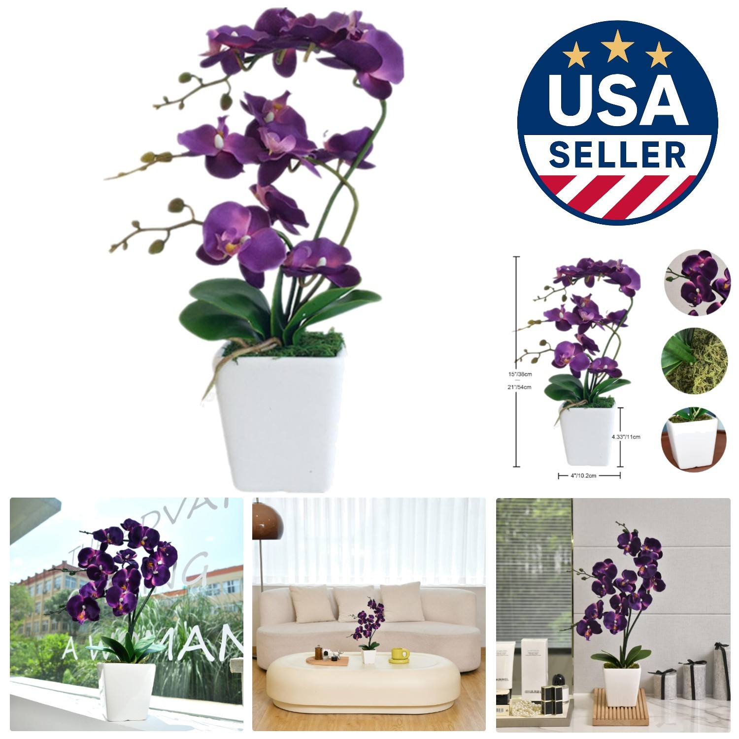 Eco-Friendly 15″ Phalaenopsis Orchid Plant in Dark Purple – A Classy Gift Idea