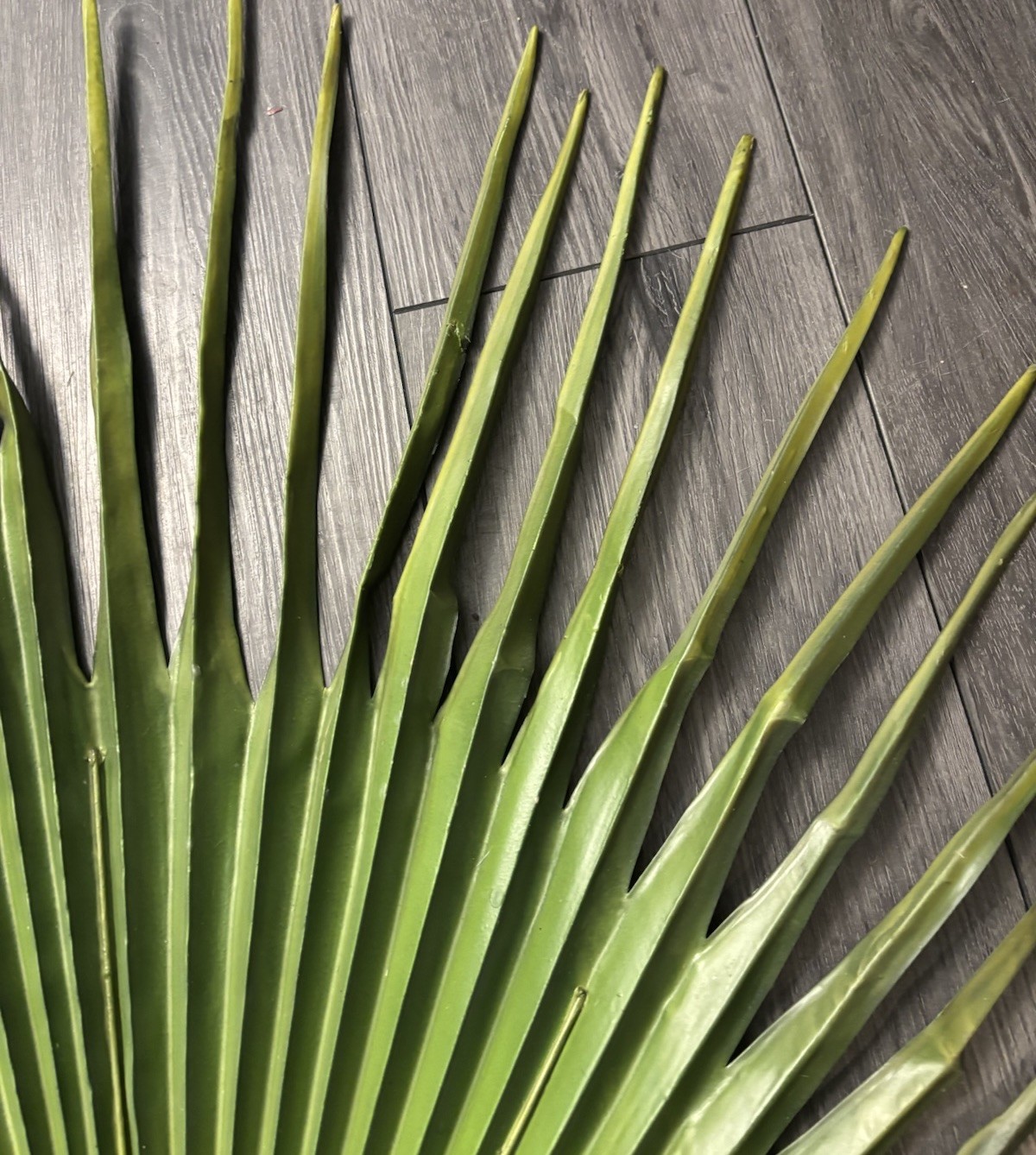 Large Fan Palm Leaf Stem 58” Tropical Boho Coastal Wedding Home Decor Prop
