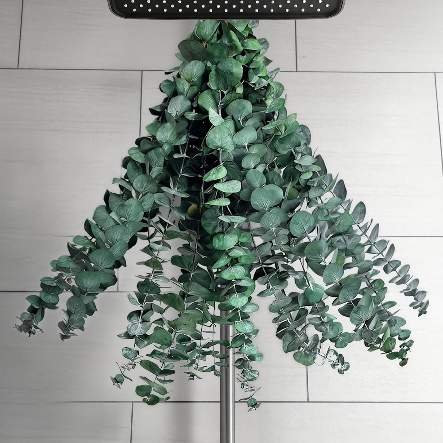 20 PCS Dried Eucalyptus Stems for Shower Hanging 100% Made from Fresh Leaves 1