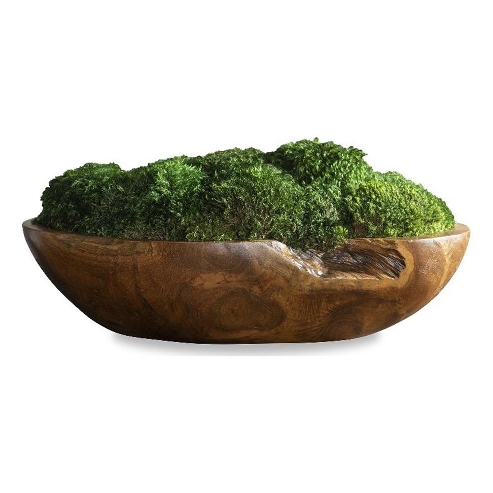 Uttermost Kinsale Teak Wood Moss and Foam Centerpiece in Green/Woodtone