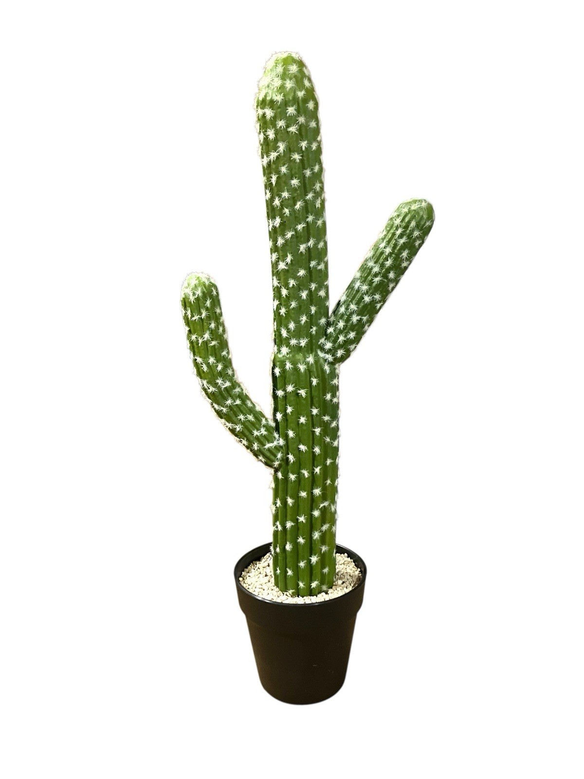 Artificial Cactus Succulent Plant 24” Home Or Office Decor With Black Planter