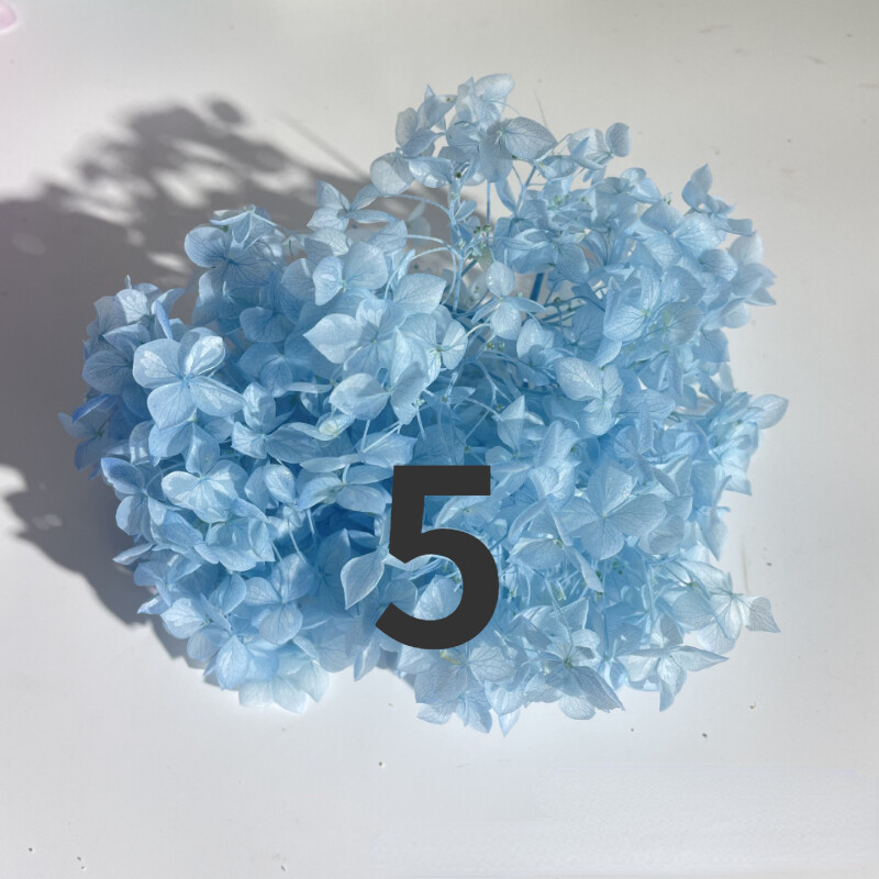 50g Bulk Dried Artificial Flowers for Gift Photograph Props Party Wedding Decor