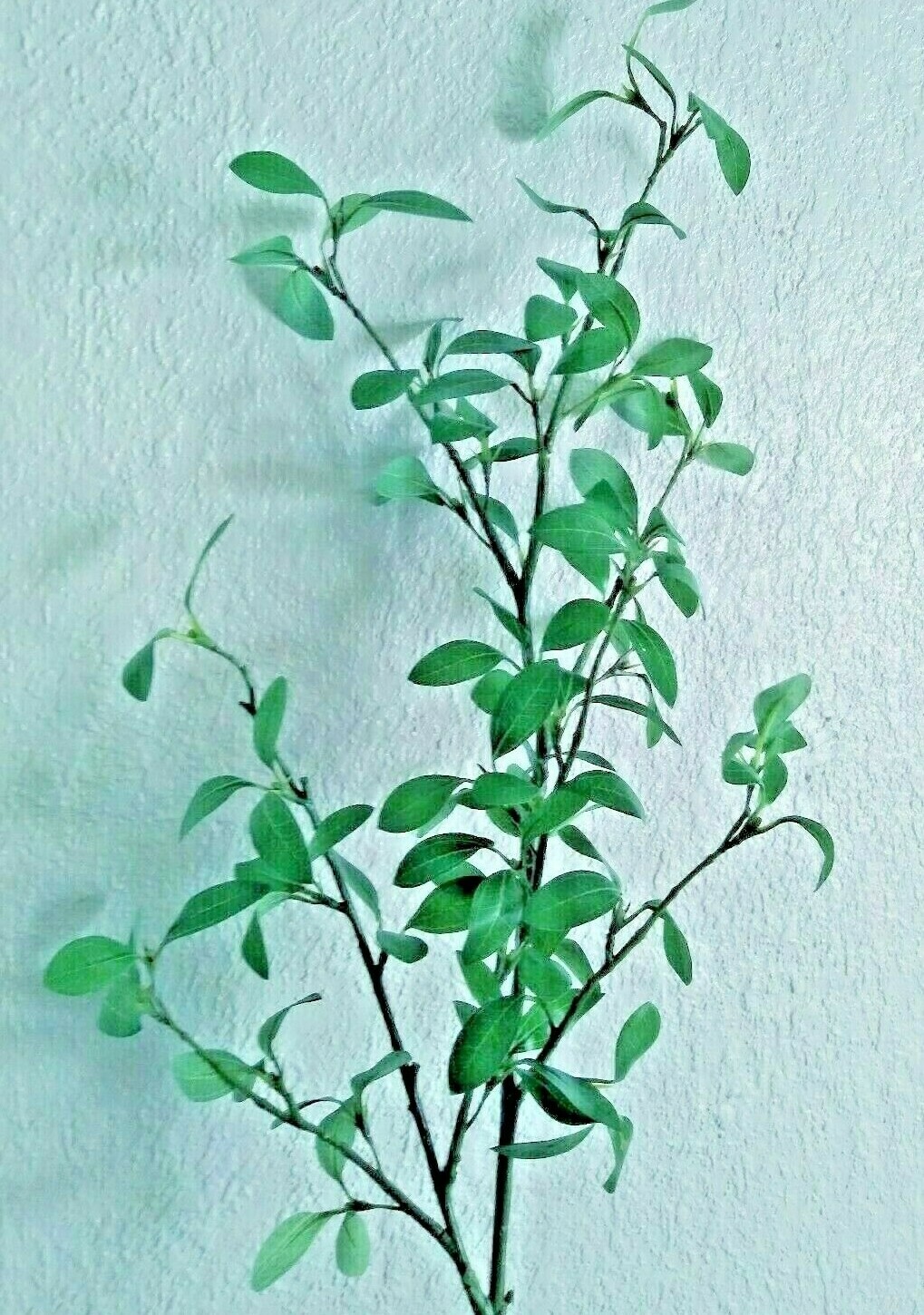 41″ Privet stem Branches line material. Silk Flower Floral Arrangements