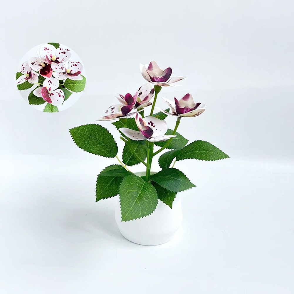 Potted Artificial Phalaenopsis Orchids 5 Piece Nordic Style Arrangement