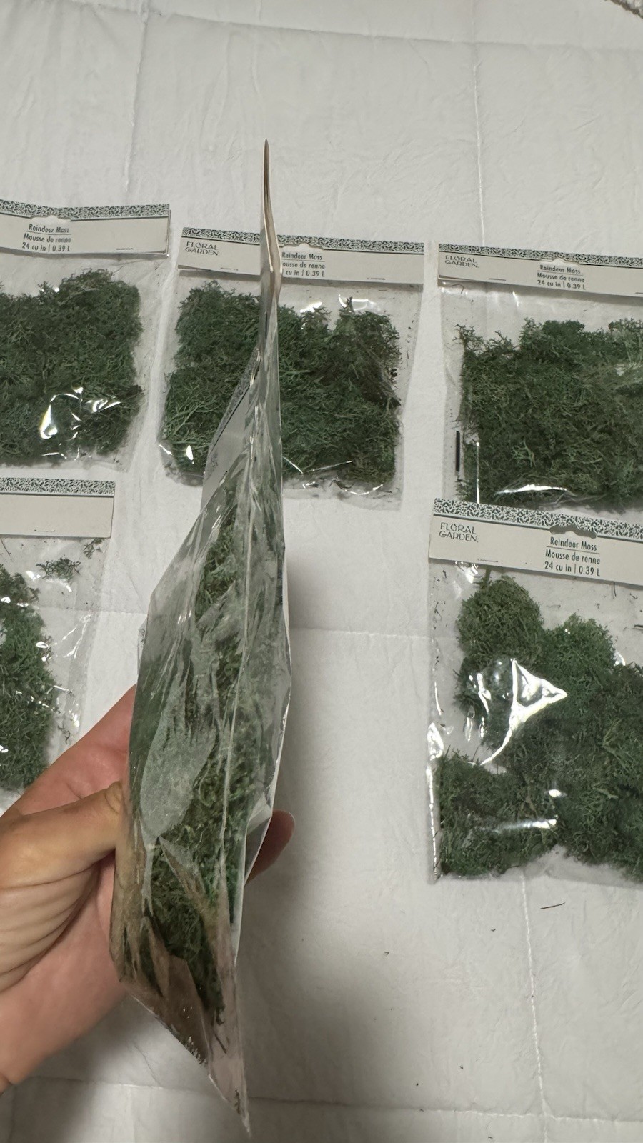 Floral Garden Reindeer Moss, 24-cu-in. Set of 6