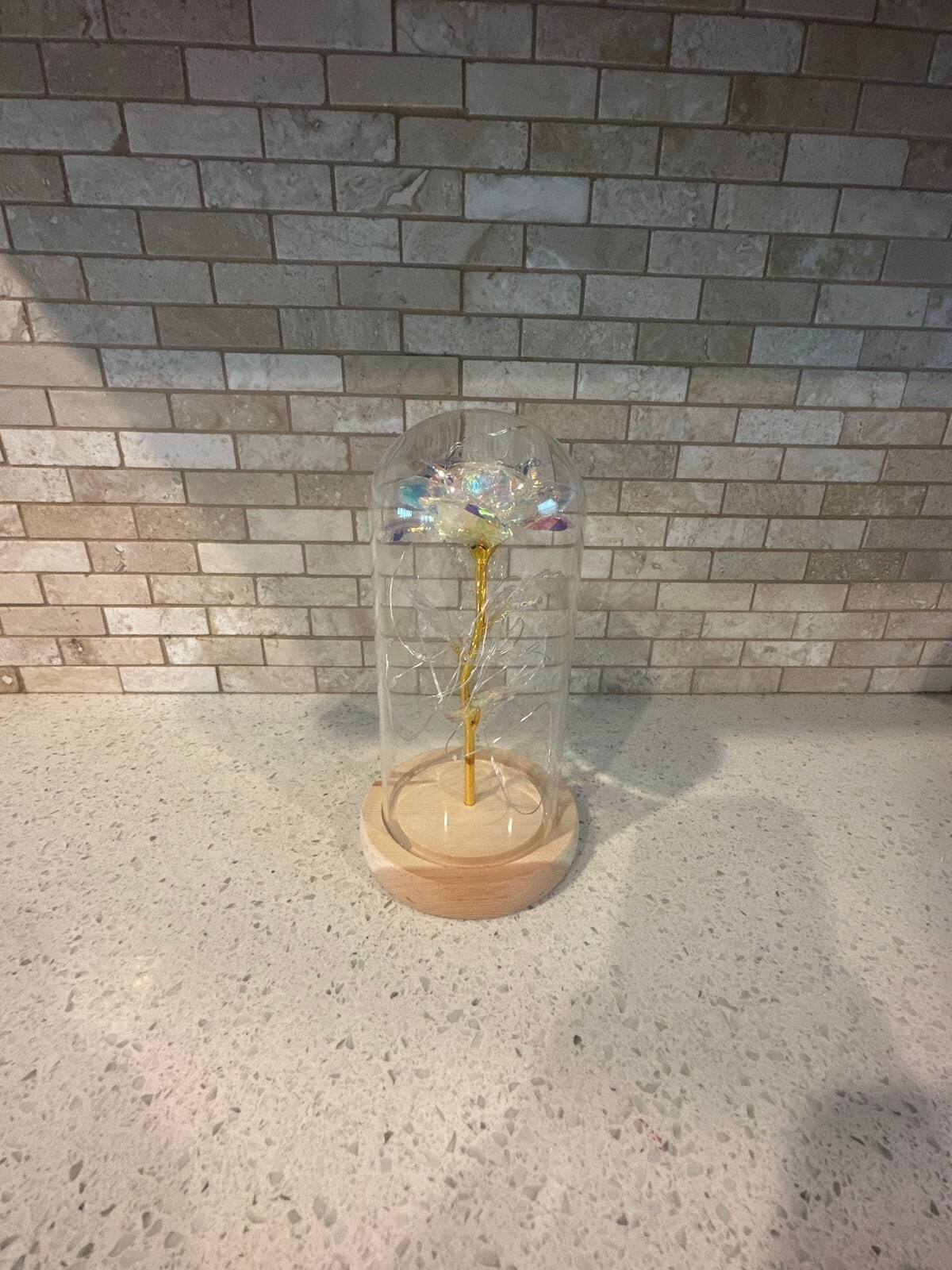 Gifts for Her Galaxy Rose