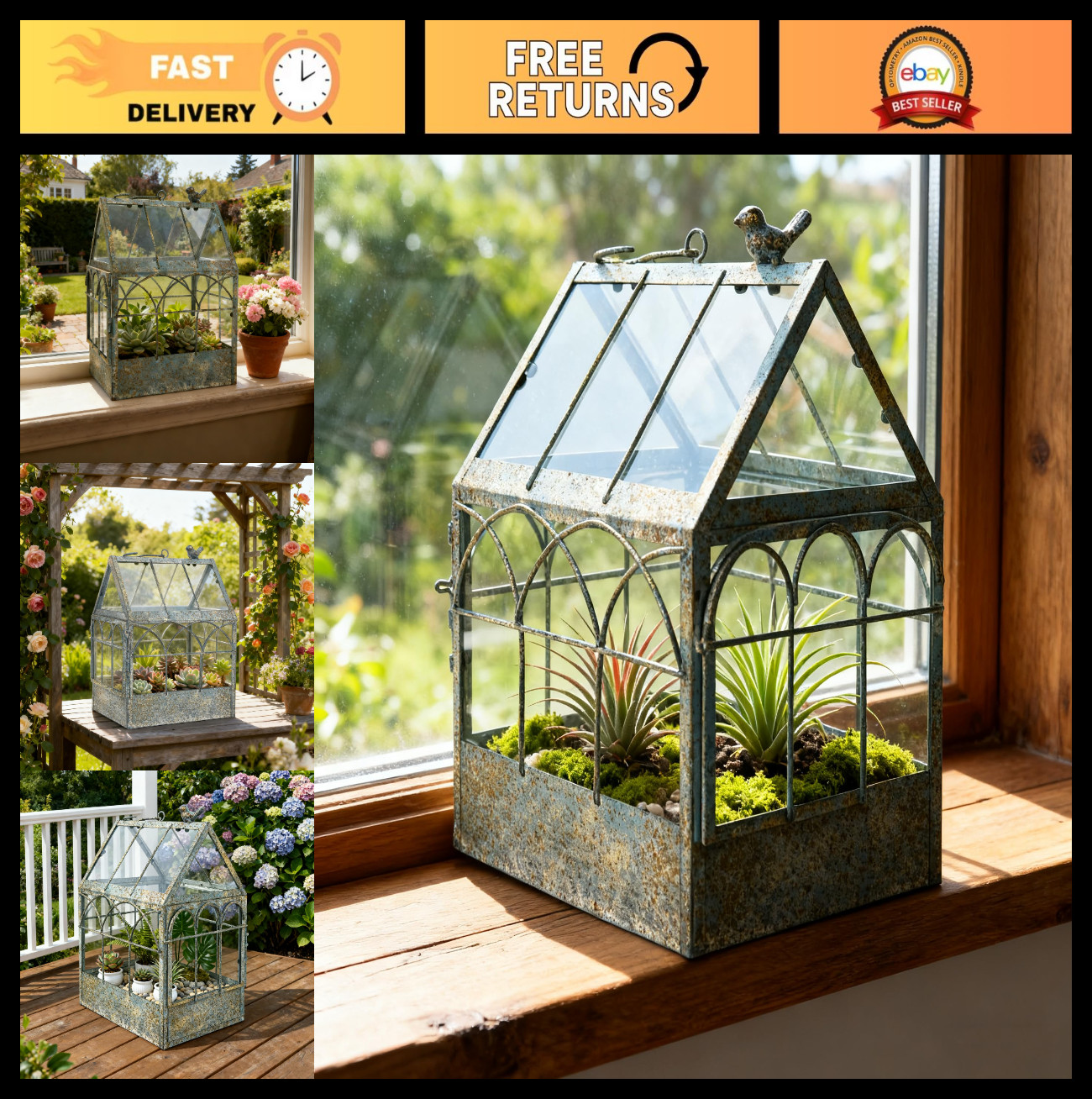 Large Glass Terrarium with Lid – Geometric Indoor Planter for Succulents, Ferns,