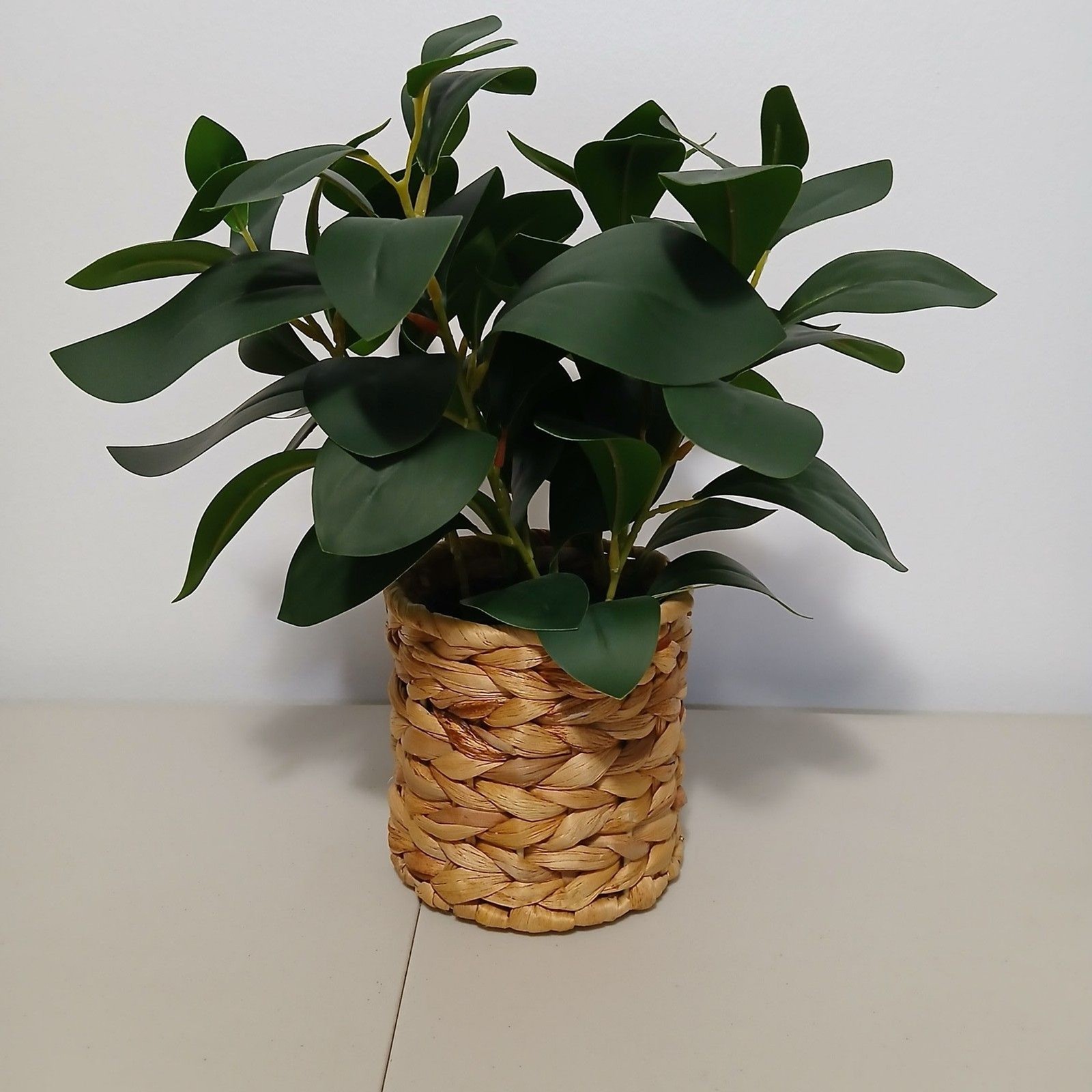 Better Homes & Gardens Natural Brown Boho Decorative Faux Peperomia Plant 12″