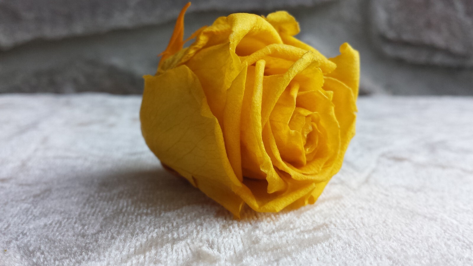 12 Yellow Rose Heads Flowers Silk Soft Artificial Fake DIY Craft Brand New