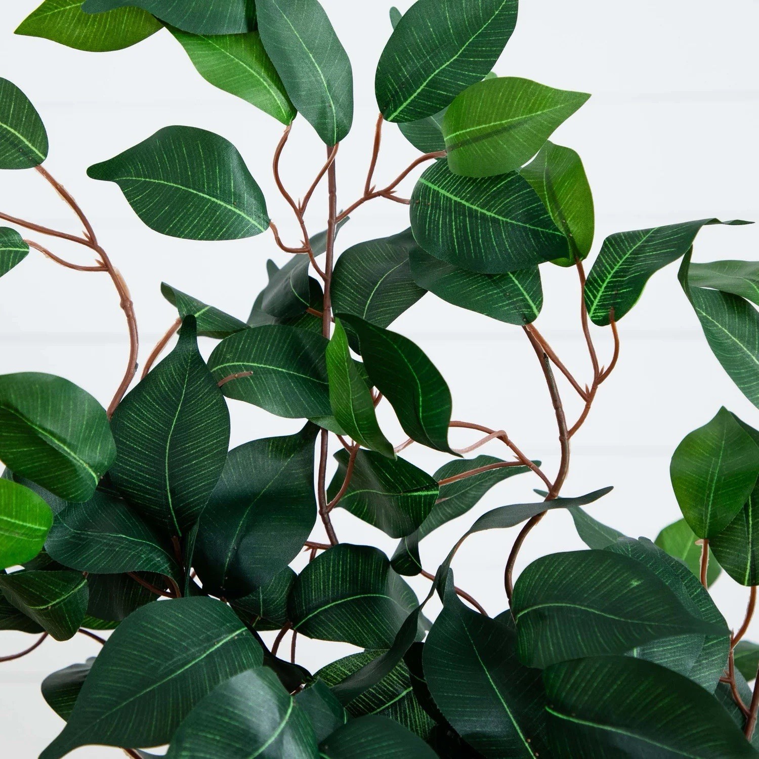 4′ Artificial Ficus Auriculata Tree with natural Trunk.