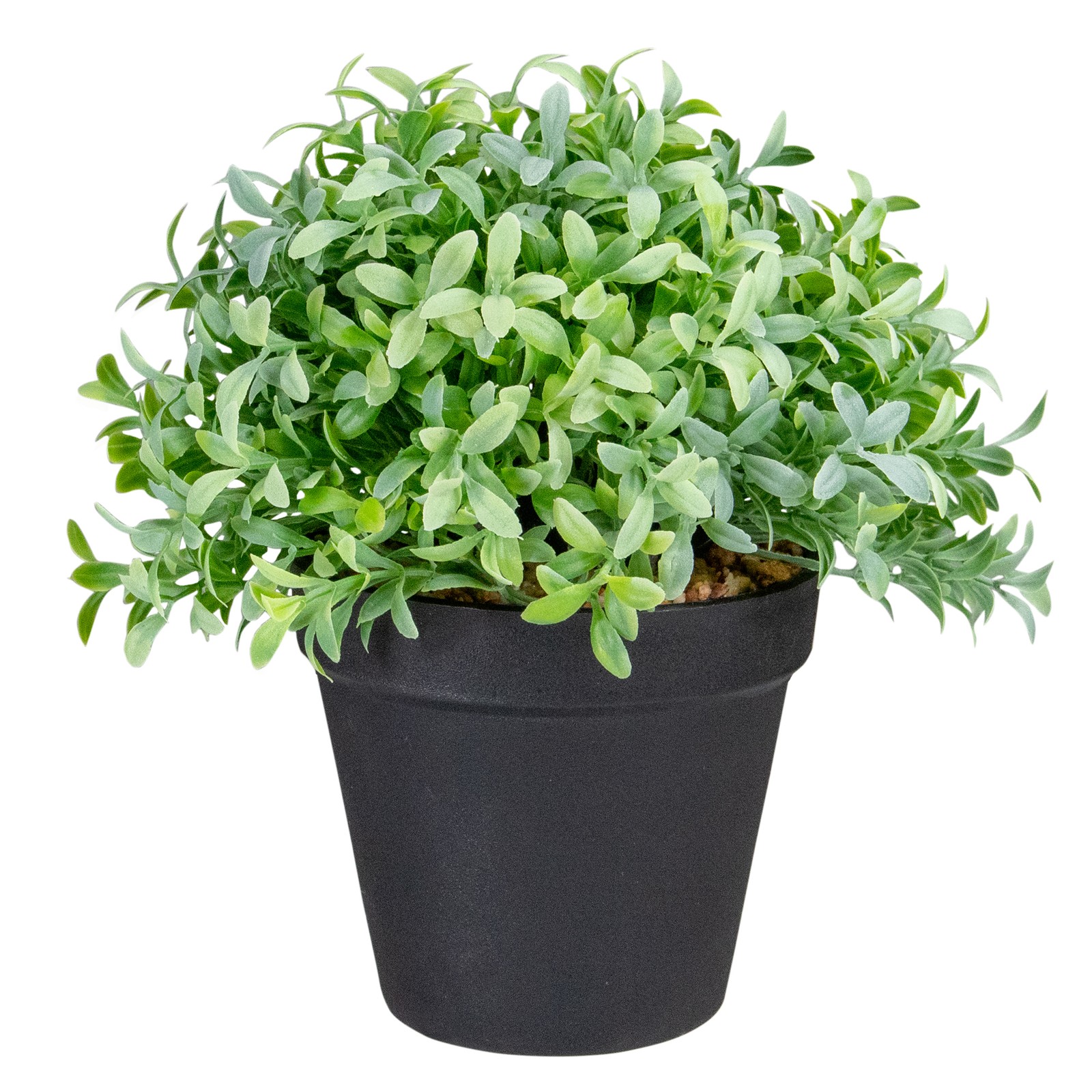 Northlight 7.5″ Potted Green Artificial Boxwood Plant in Black Pot