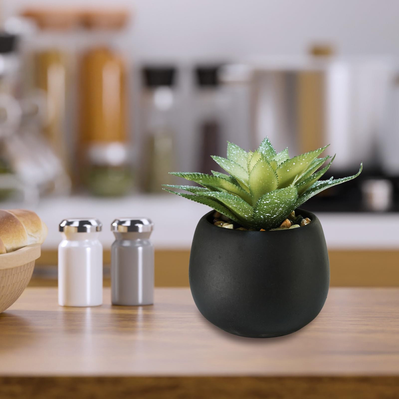 Set of 3 Artificial Succulents Plants in Black Cement Planters Faux Potted Pl…
