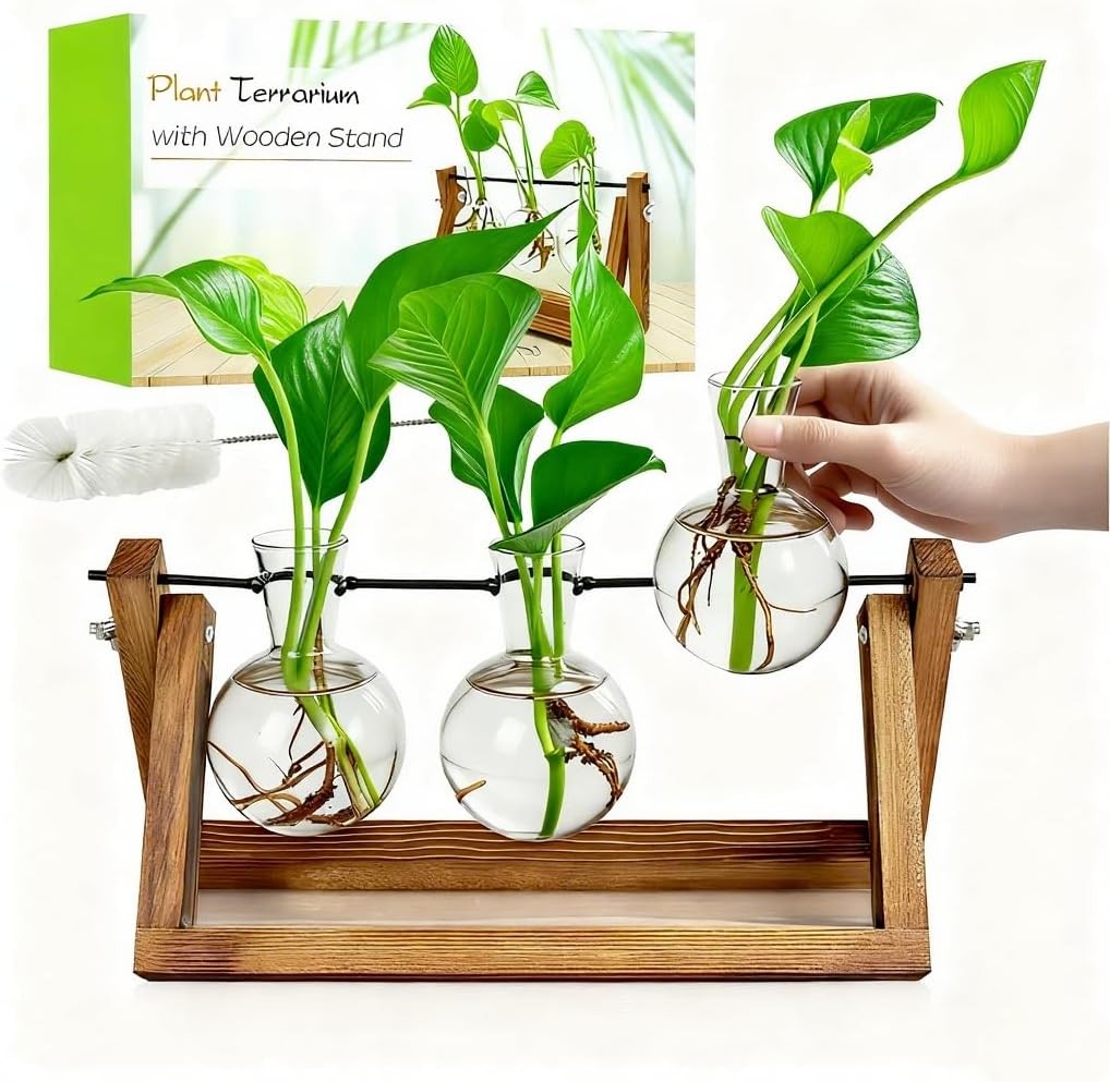 Plant Propagation Stations W/ Wooden Stand & 3 Glass Bulb Vases Plant Terrarium
